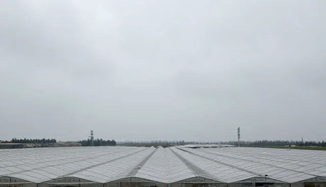 软件维护中的检查要点与业务发展趋势