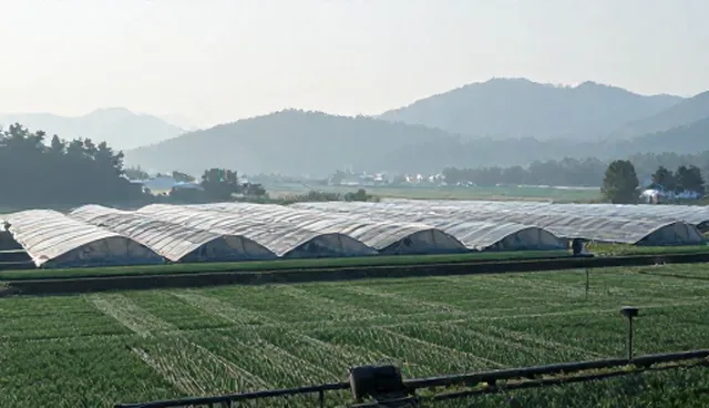 信息安全防护方案如何平衡性能与适用条件